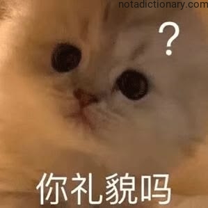 Learn Chinese With Memes: 你礼貌吗