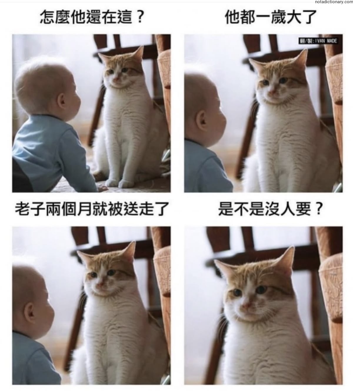 Learn Chinese With Memes: 他都一歲大了