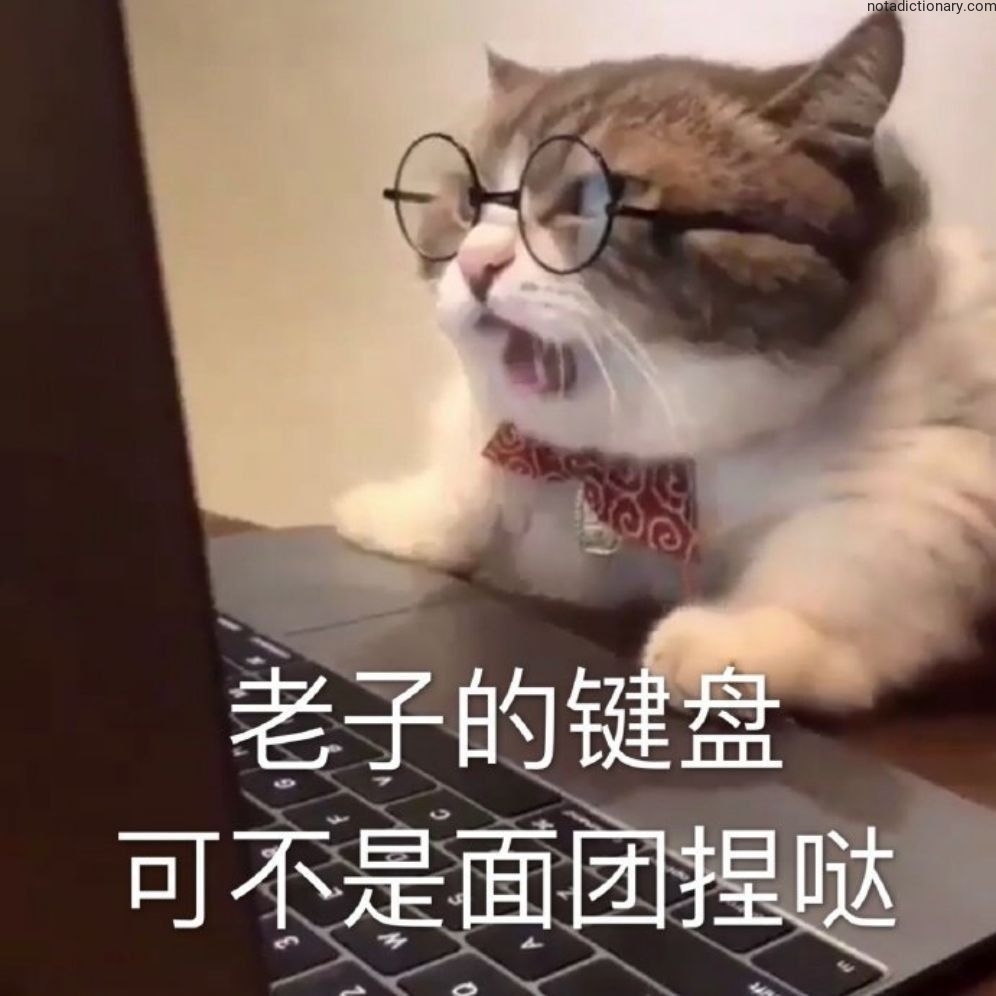 Learn Chinese With Memes: 老子的键盘不是面团捏哒