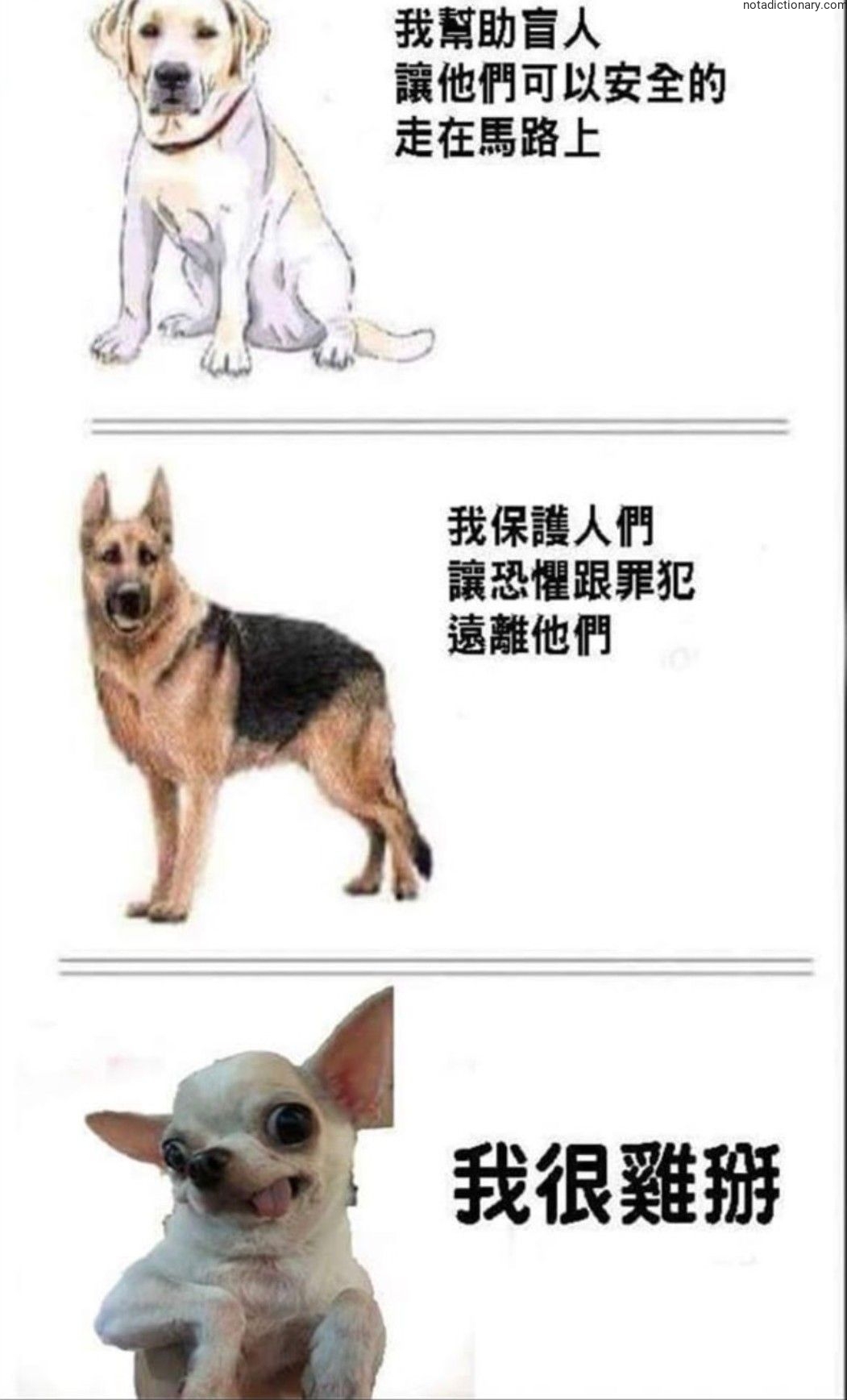 Learn Chinese With Memes: Gli Errori Che Commetto