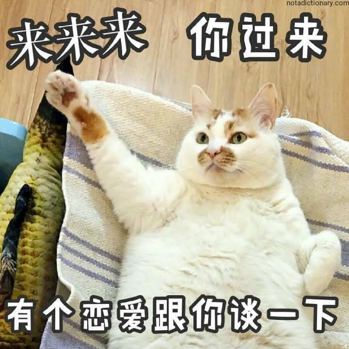 Learn Chinese With Memes: 有个恋爱跟你谈一下
