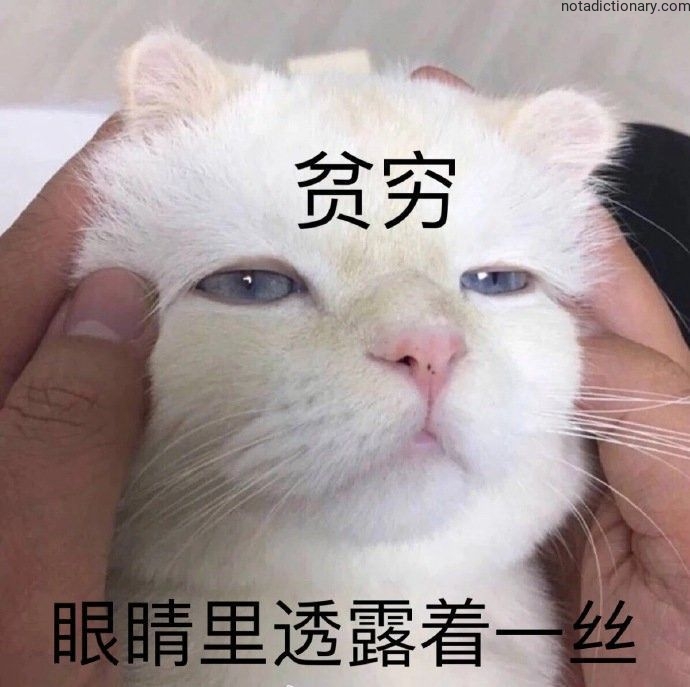 Learn Chinese With Memes: The Poverty Vibe