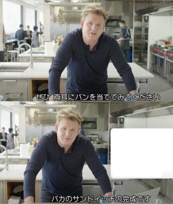 Learn Japanese With Memes: The Baka Sandwich