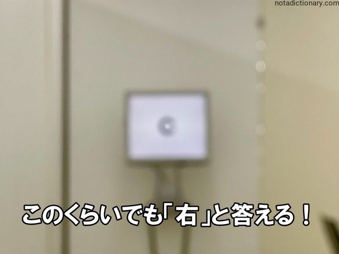 Learn Japanese With Memes: The Right Answer Even When It’s Not
