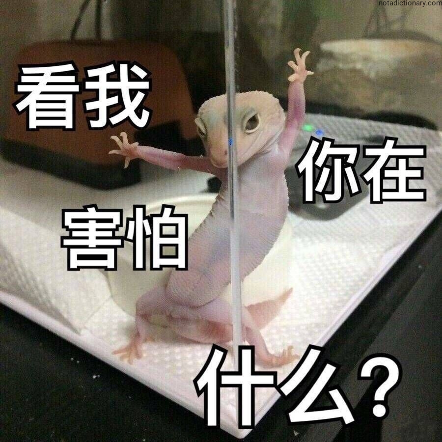 Learn Chinese With Memes: 看我你在害怕什么？