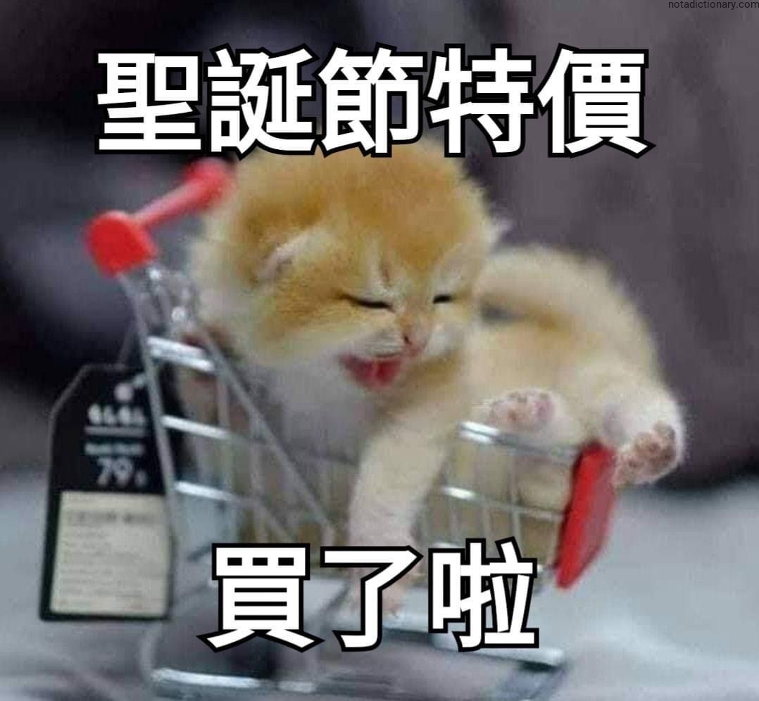 Learn Chinese With Memes: 圣诞节特价买了啦