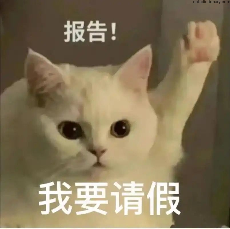 Learn Chinese With Memes: 我要请假