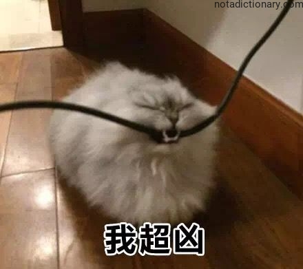 Learn Chinese With Memes: 我超凶