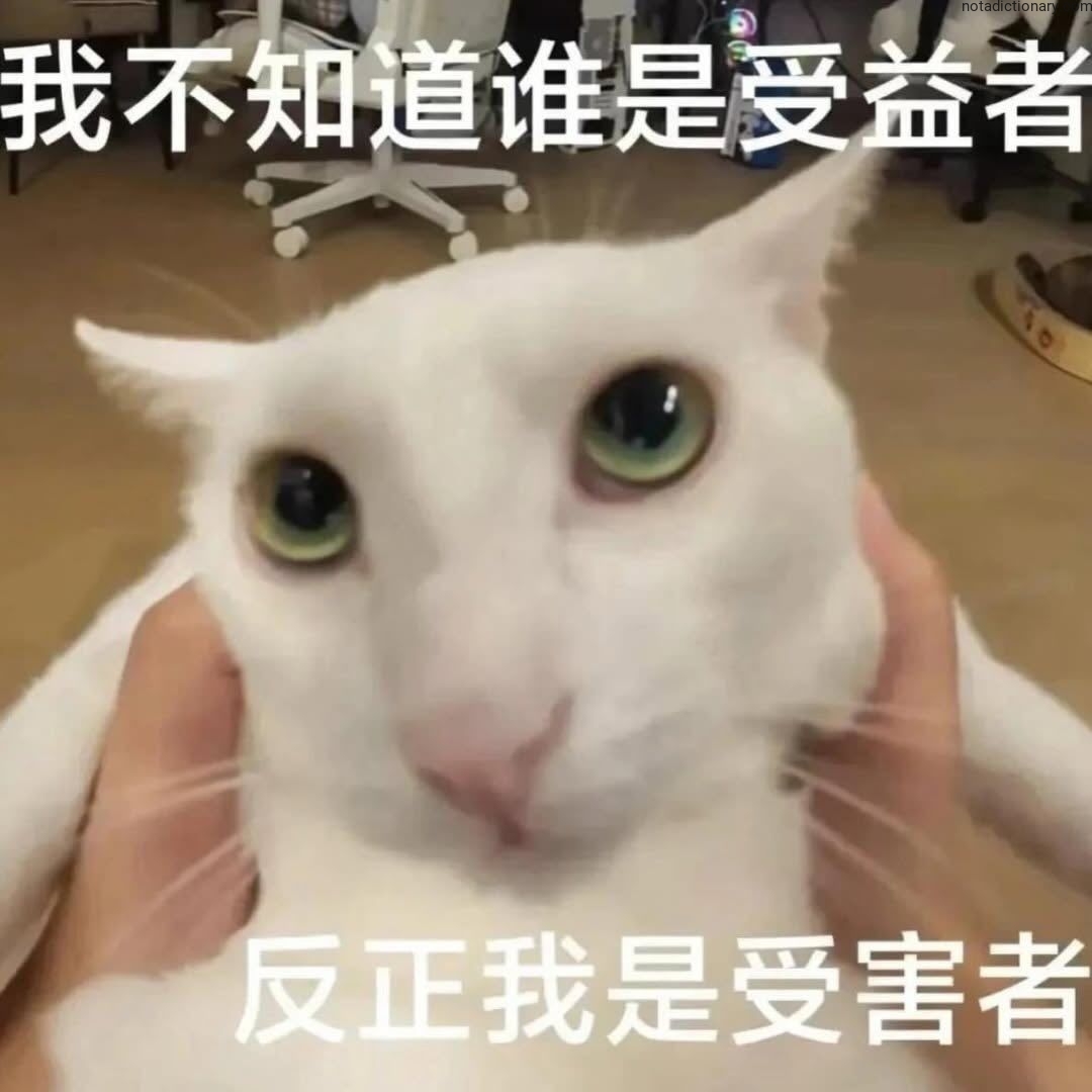 Learn Chinese With Memes: 我不知道谁是受益者