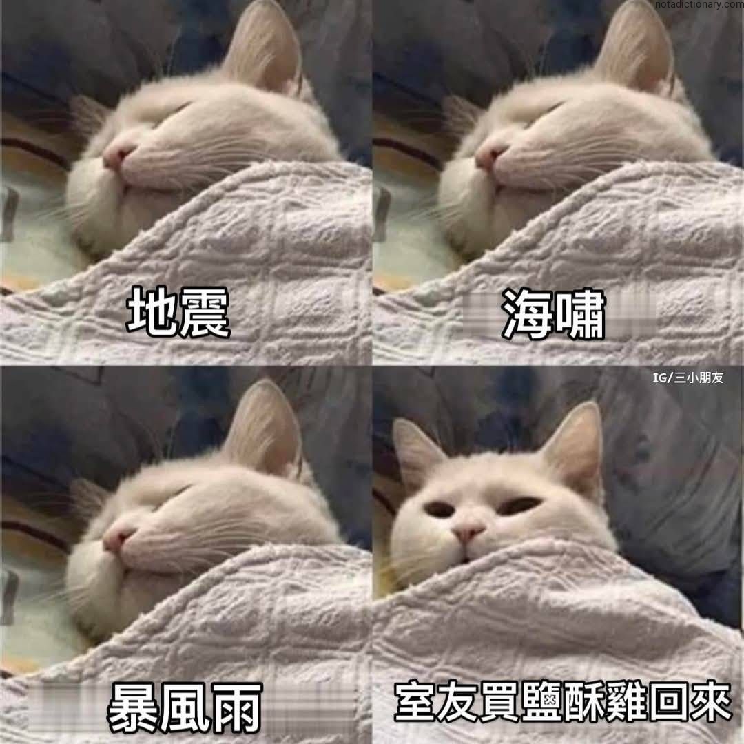 Learn Chinese With Memes: Earthquake Tsunami Storm Roommate
