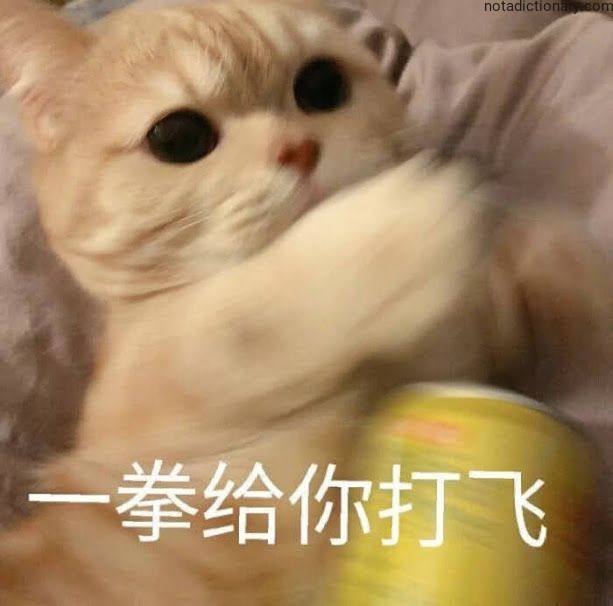 Learn Chinese With Memes: 一拳给你打飞