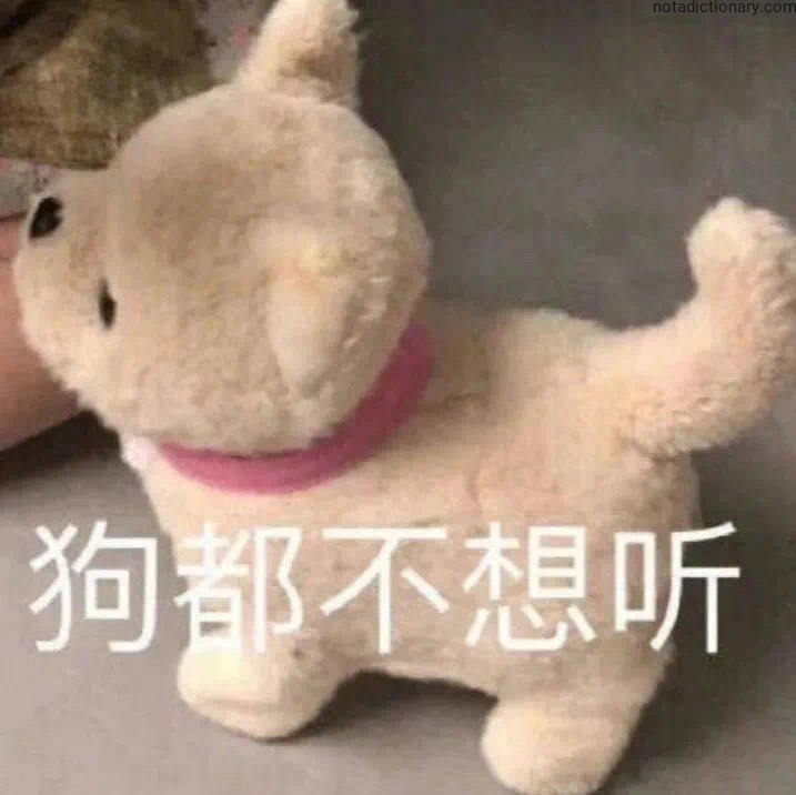 Learn Chinese With Memes: 狗都不想听