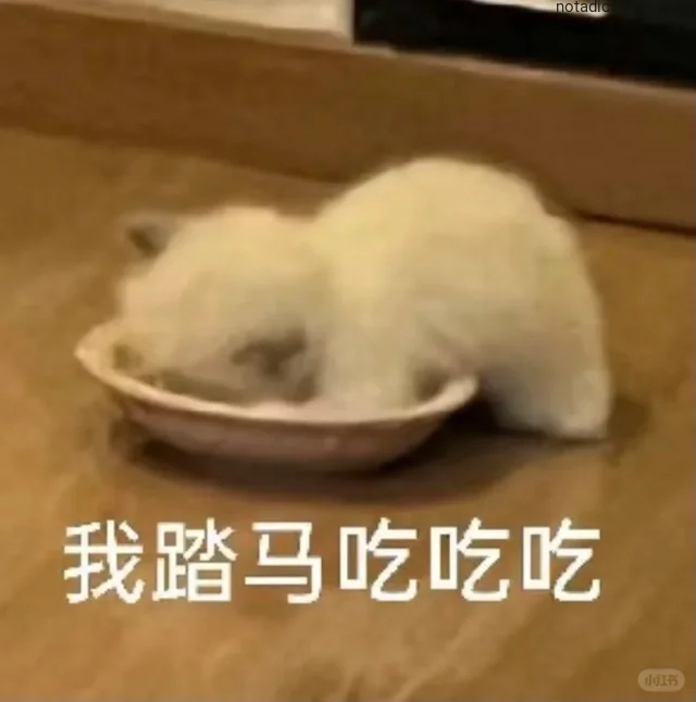 Learn Chinese With Memes: 我踏马吃吃吃