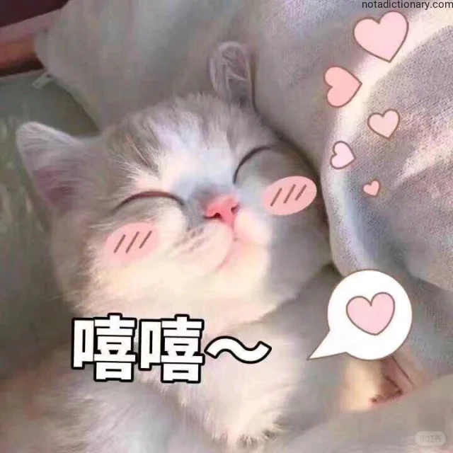 Learn Chinese With Memes: 嘻嘻~