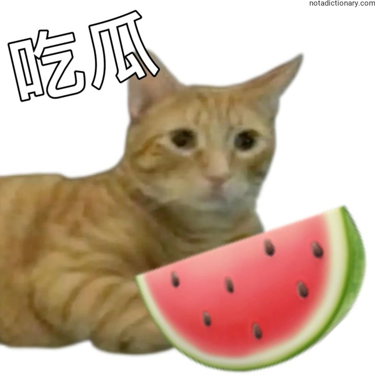 Learn Chinese With Memes: 吃瓜
