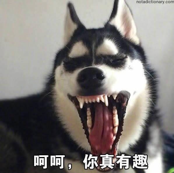Learn Chinese With Memes: 你真有趣