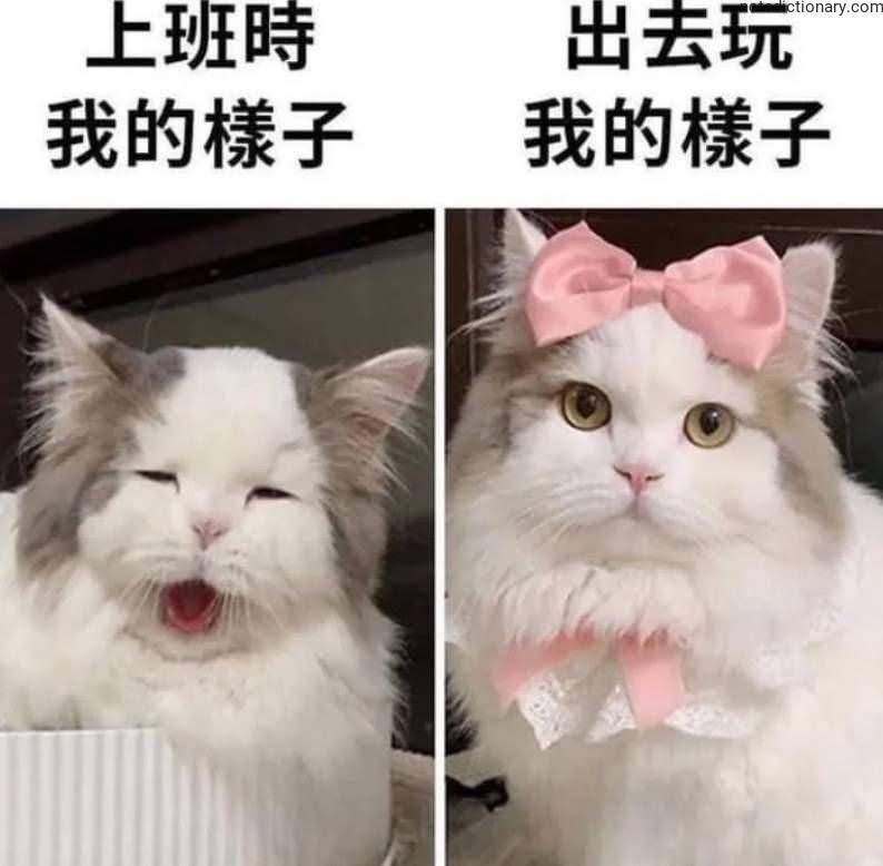 Learn Chinese With Memes: My Work vs. My Fun Self