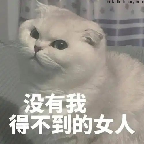 Learn Chinese With Memes: 没有我得不到的女人