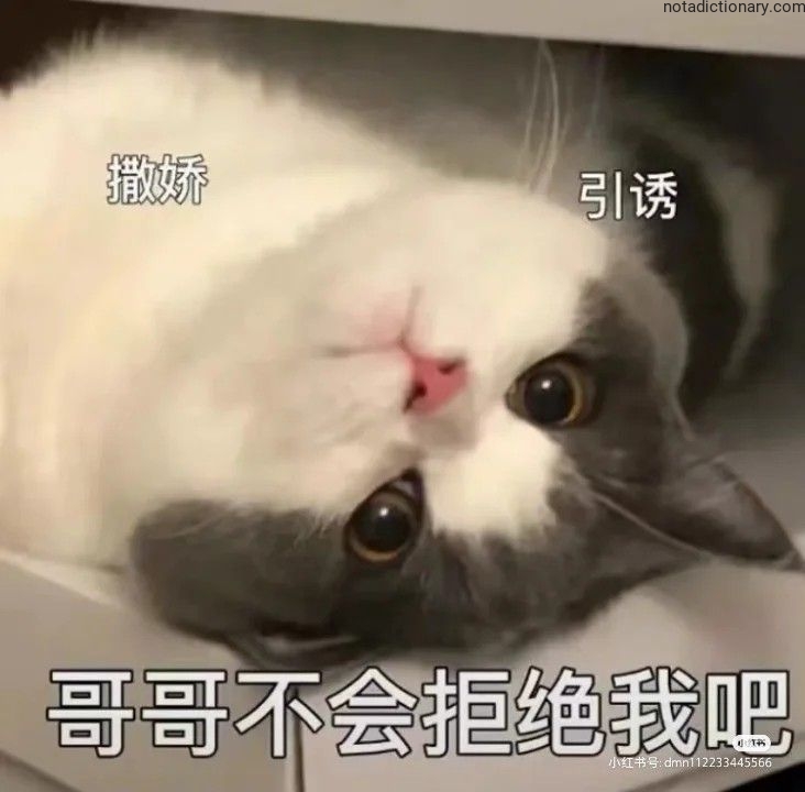 Learn Chinese With Memes: Gēgē Bù Huì Jùjué Wǒ Ba