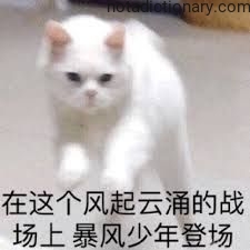 Learn Chinese With Memes: 暴风少年登场