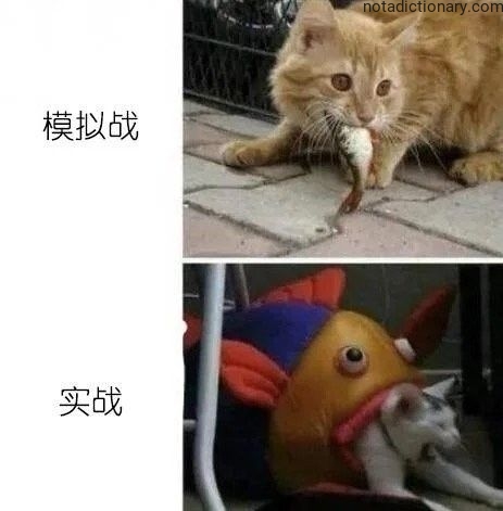 Learn Chinese With Memes: Simulation vs Real Battle