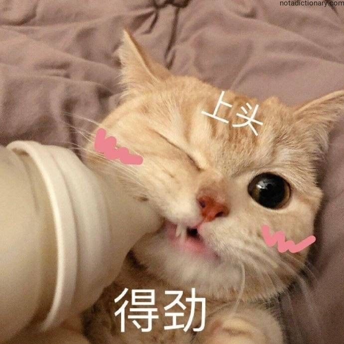 Learn Chinese With Memes: 上头得劲