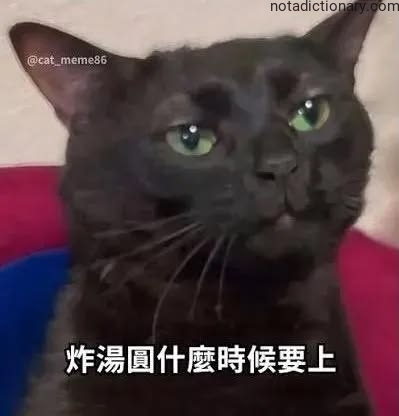 Learn Chinese With Memes: 炸湯圓什麼時候要上