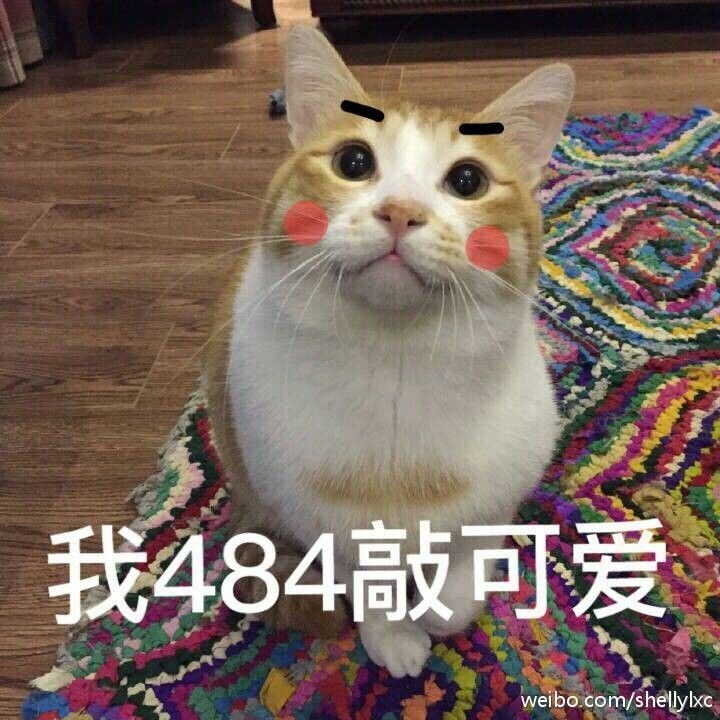 Learn Chinese With Memes: 我484敲可爱