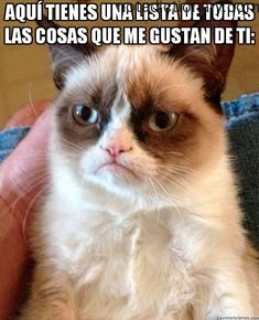 Learn Spanish With Memes: Las Cosas Que Me Gustan De Ti