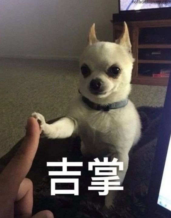Learn Chinese With Memes: 吉掌