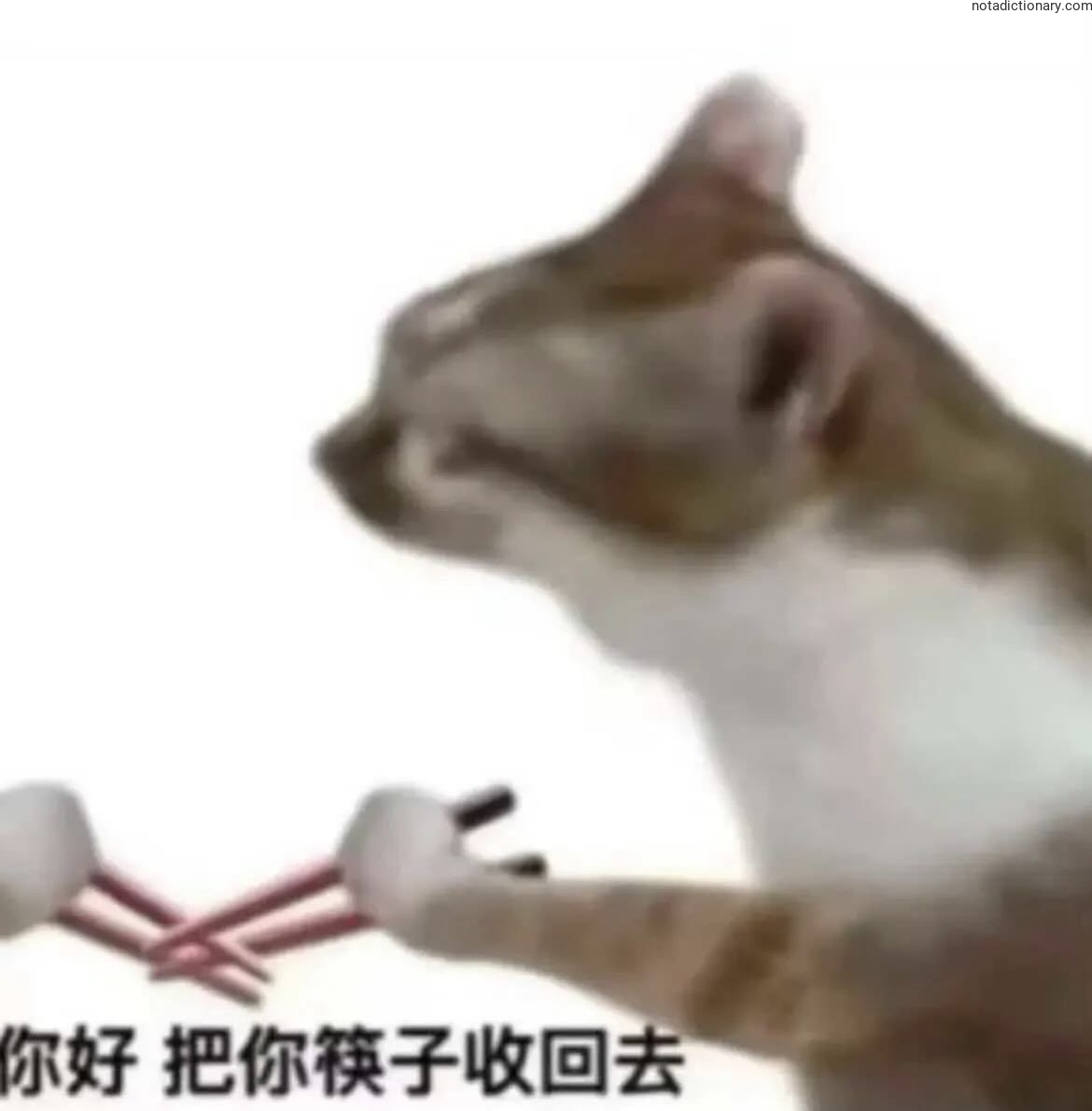 Learn Chinese With Memes: 把你筷子收回去