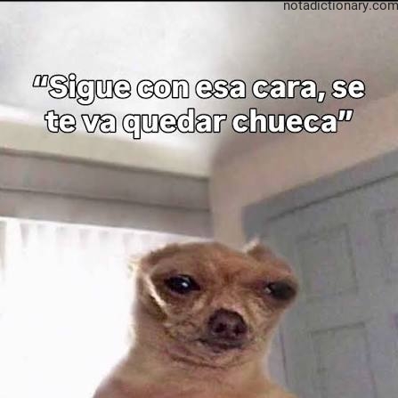 Learn Spanish With Memes: La Cara Chueca