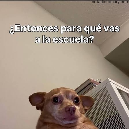 Learn Spanish With Memes: ¿Entonces para qué vas a la escuela?