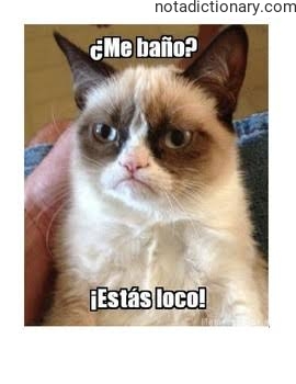 Learn Spanish With Memes: ¿Me baño? ¡Estás loco!