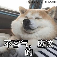 Learn Chinese With Memes: 不客气，应该的