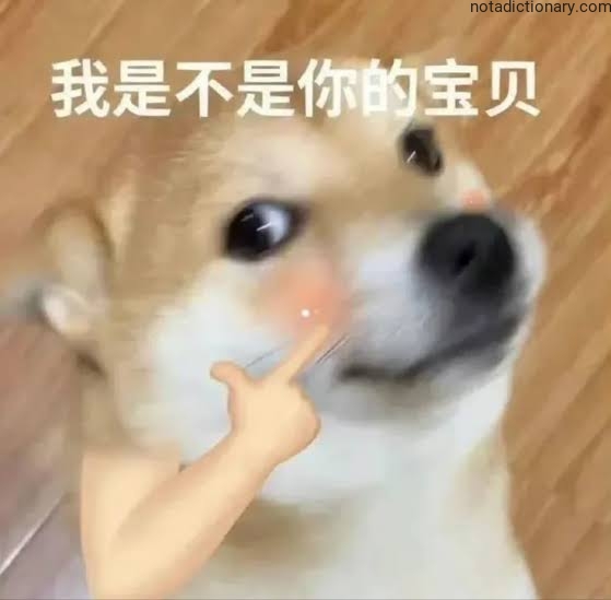 Learn Chinese With Memes: 我是不是你的宝贝