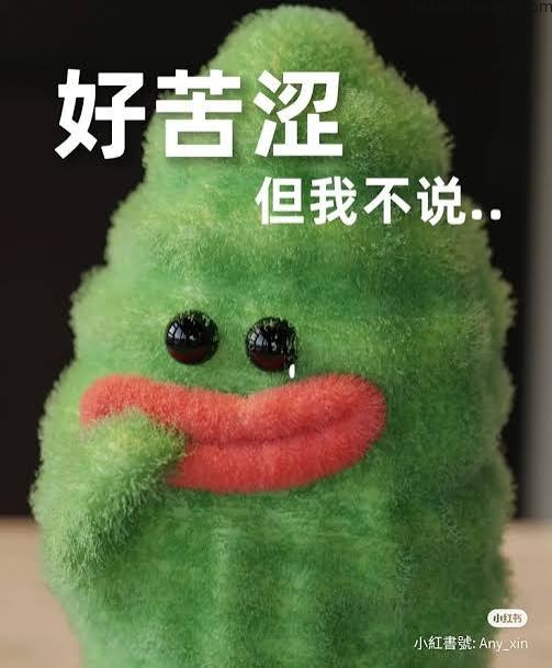 Learn Chinese With Memes: 好苦涩 但我不说..
