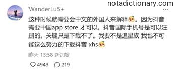 Learn Chinese With Memes: The App Store Dilemma
