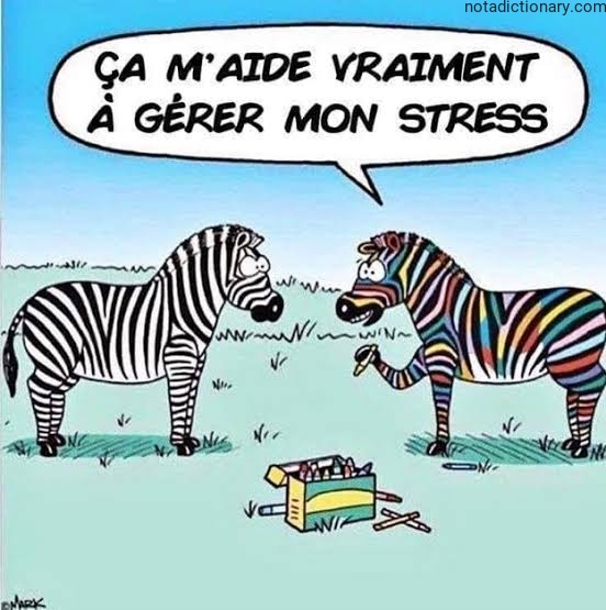 Learn French With Memes: Ça M’Aide Vraiment À Gérer Mon Stress