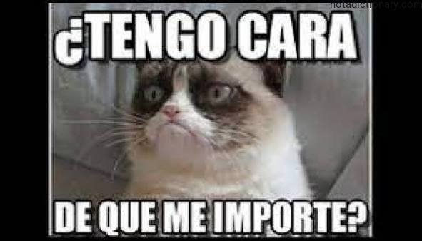 Learn Spanish With Memes: ¿Tengo Cara de Que Me Importe?
