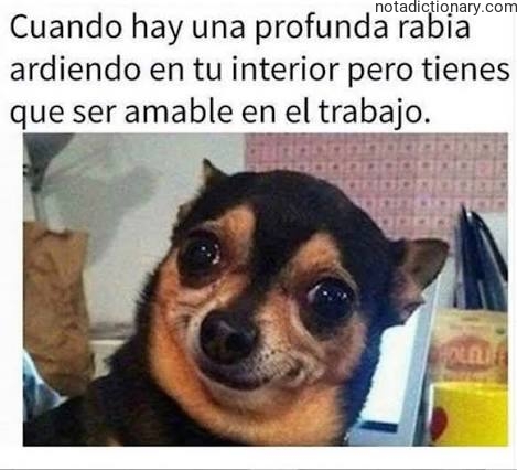 Learn Spanish With Memes: La Rabia Controlada
