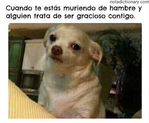 Learn Spanish With Memes: El Momento Que Te Mata De Hambre