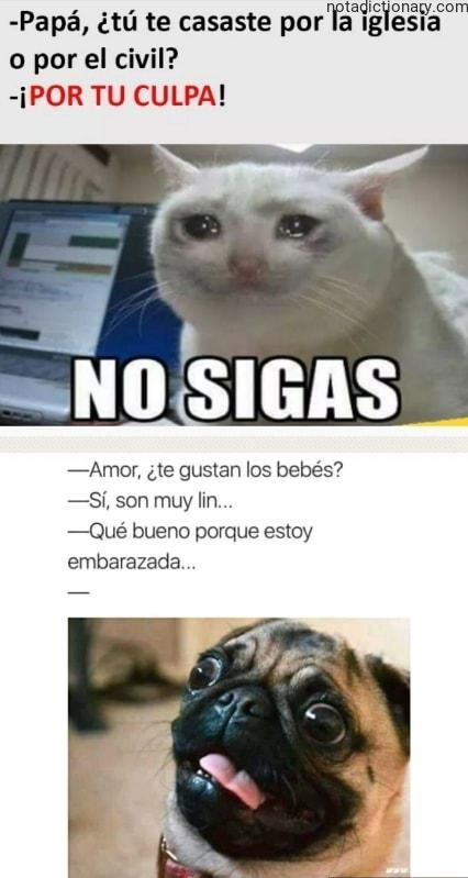 Learn Spanish With Memes: No Sigas and Embarrassing Moments
