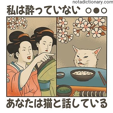 Learn Japanese With Memes: 私は酔っていなない