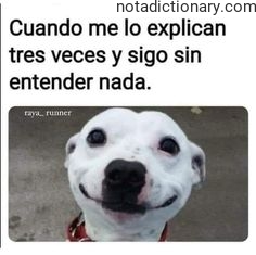 Learn Spanish With Memes: No Entiendo Nada