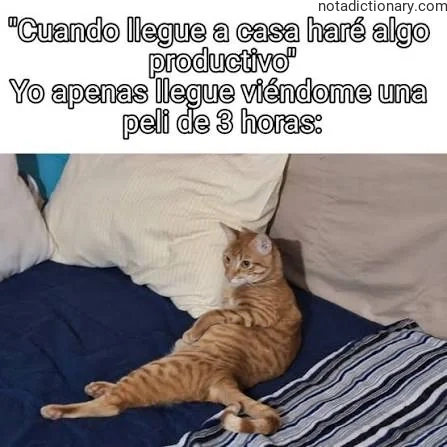Learn Spanish With Memes: La Procrastinación