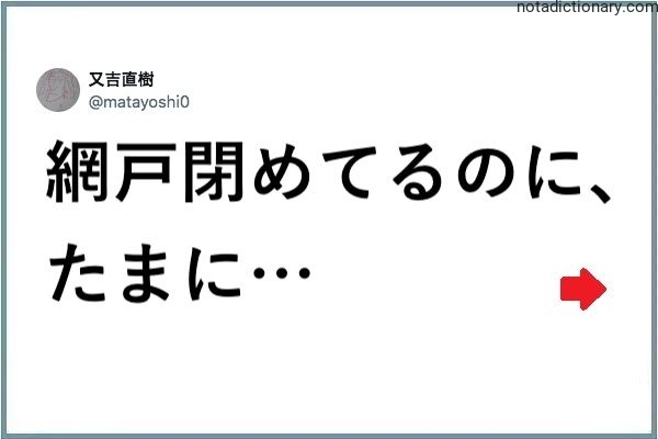 Learn Japanese With Memes: Mosquito Problems