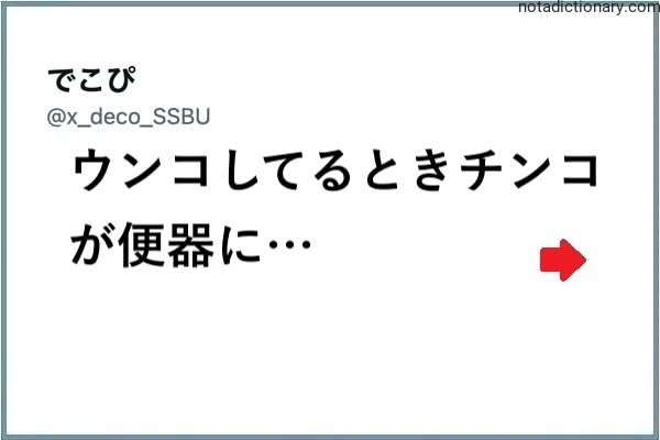 Learn Japanese With Memes: Poop Accident Humor