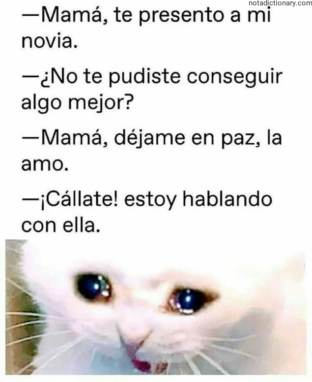 Learn Spanish With Memes: La Amo vs Cállate