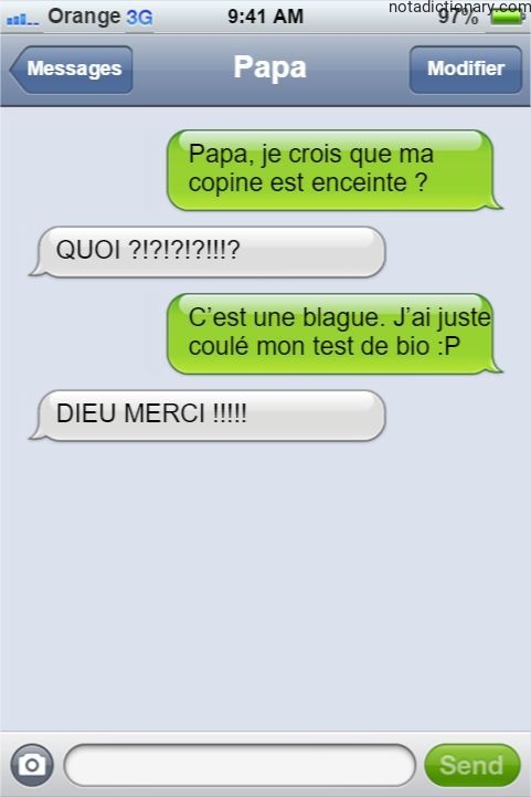 Learn French With Memes: The Pregnancy Prank